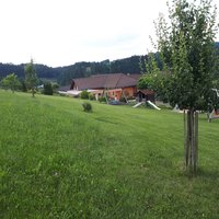 Umgebung von Hutti’s Gupfwaldheuriger