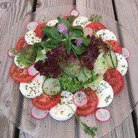 Salate von Hutti’s Gupfwaldheuriger