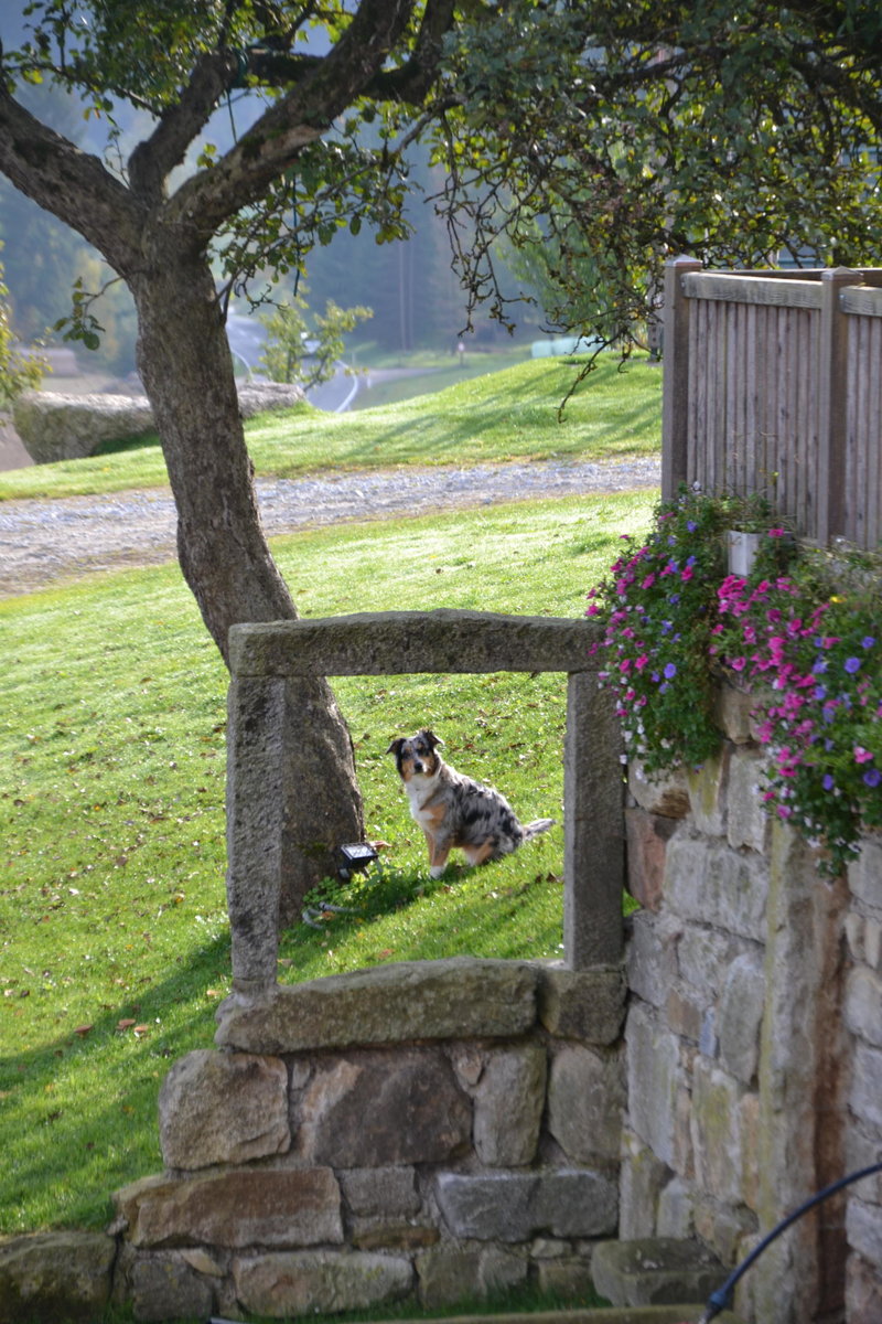 Garten von Hutti’s Gupfwaldheuriger